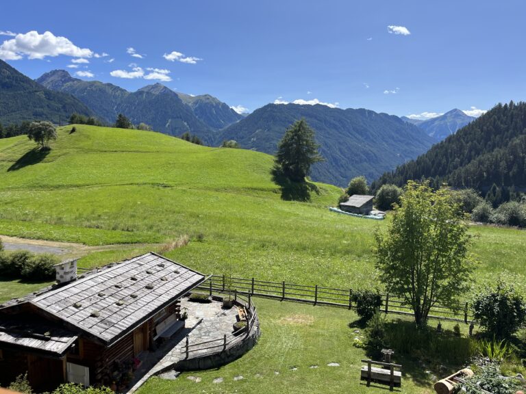 Blick auf den Garten und die umliegende Bergwelt