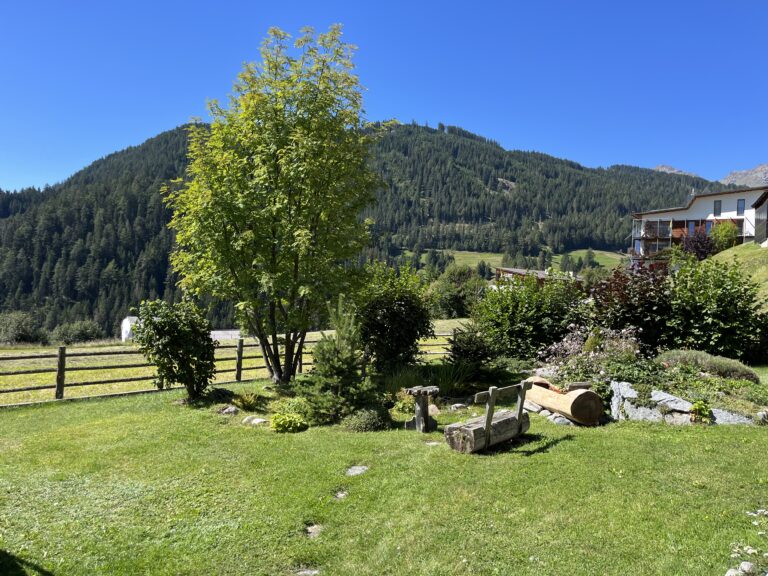 Garten Blick auf Teich und Berge